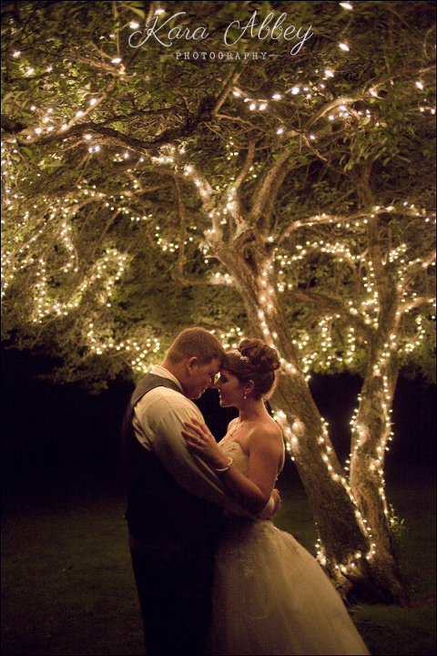 Bride & Groom Lit up Tree Green Gables Jennerstown, PA
