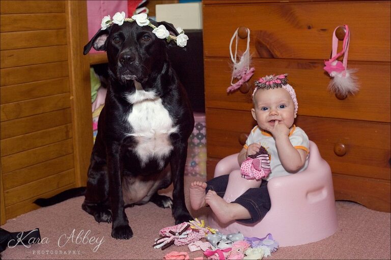 Abby's Saturday 52 Lifestyle Photography Dog & Baby Hair Accessories Irwin, PA Pittsburgh, PA Monroeville, PA Greensburg, PA
