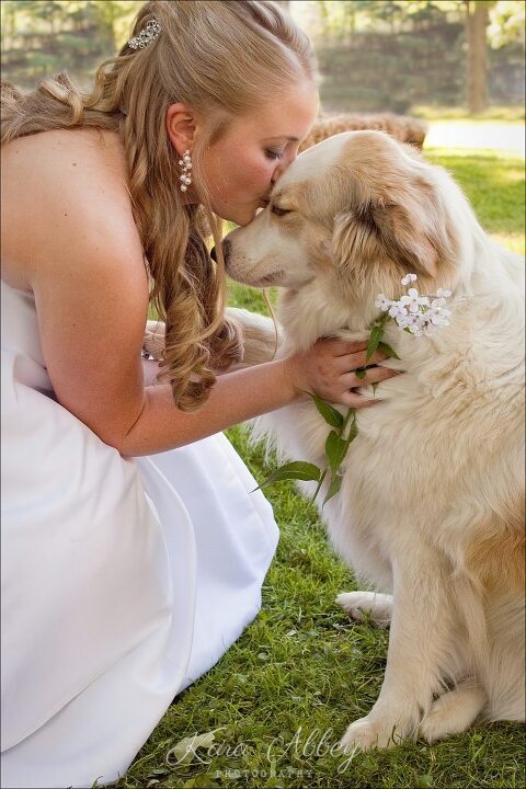 bride and her dog shoot and share photo contest wedding photographer Irwin, PA Pittsburgh, PA Greensburg, PA Monroeville, PA