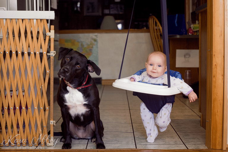 Abby's Saturday 56 Lifestyle Photography Dog and Baby Irwin, PA Pittsburgh, PA Monroeville, PA Greensburg, PA