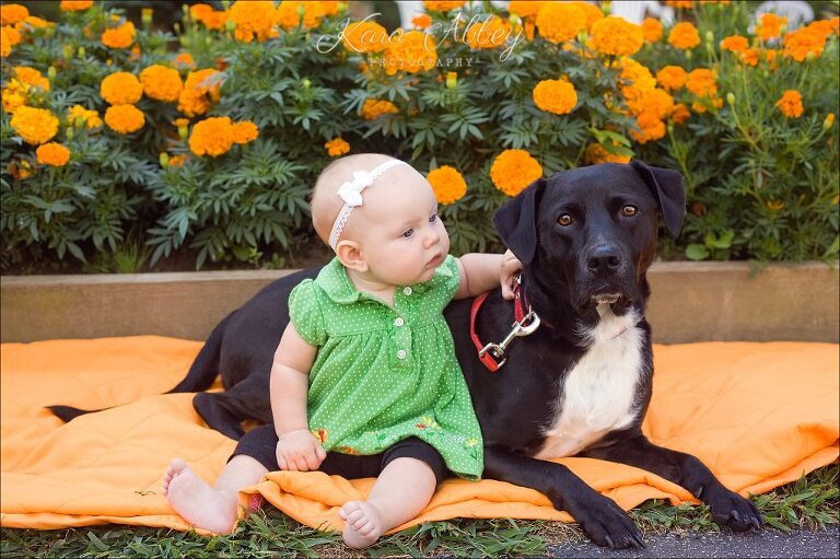 Abby's Saturday 58 Outdoor Lifestyle Photography Dog and Baby Marigolds Irwin, PA Pittsburgh, PA Monroeville, PA Greensburg, PA