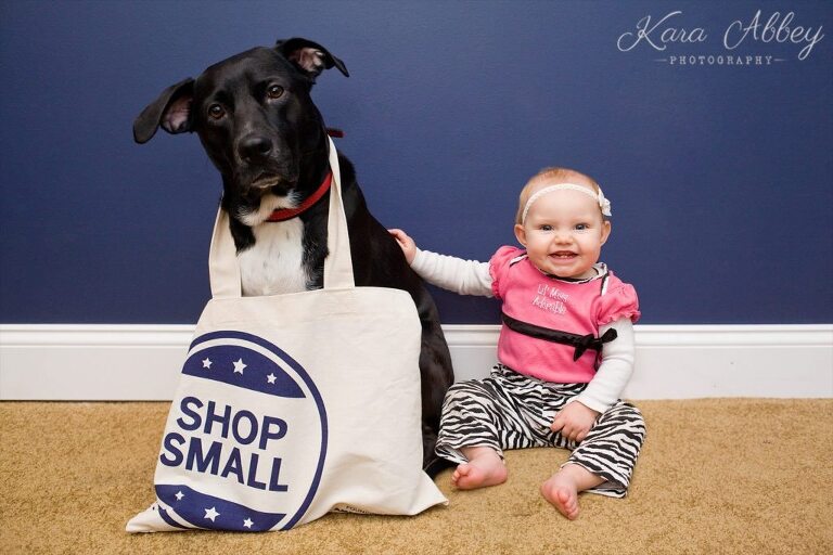 Abby's Saturday Lifestyle Pet Photography Black Lab with Baby Small Business Saturday Shop Small Irwin, PA