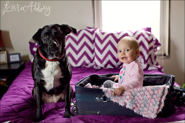 Abby's Saturday Lifestyle Pet Photography Black Lab and Baby Going on Vacation Irwin, PA
