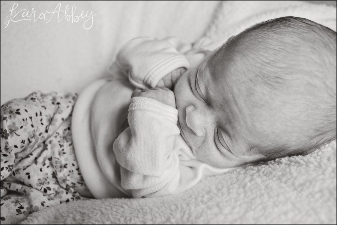 Lily // Manor, PA // Newborn Photographer Kara Abbey Photography