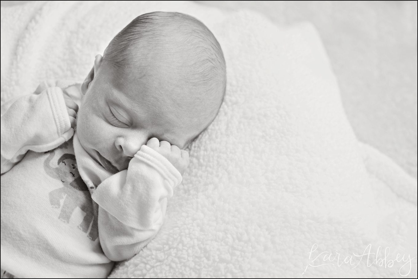 Lily // Manor, PA // Newborn Photographer Kara Abbey Photography