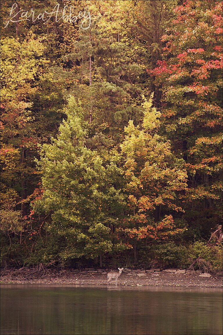 Fall at Deep Creek Lake, MD