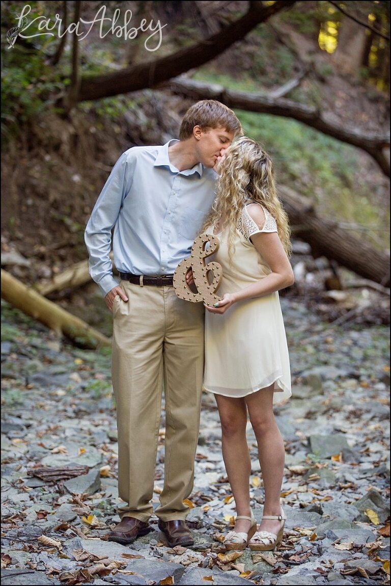 Sweedler Nature Preserve Summer Engagement Pictures with Amperstand Symbol by Kara Abbey Photography in Irwin, PA
