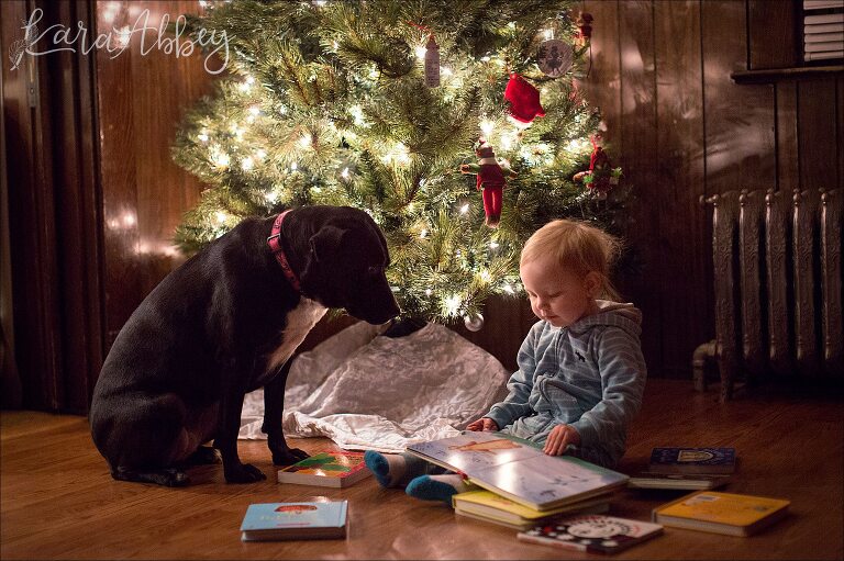 A toddler sitting under the Christmas Tree, reading to her black lab - by Kara Abbey Photography in Irwin, PA
