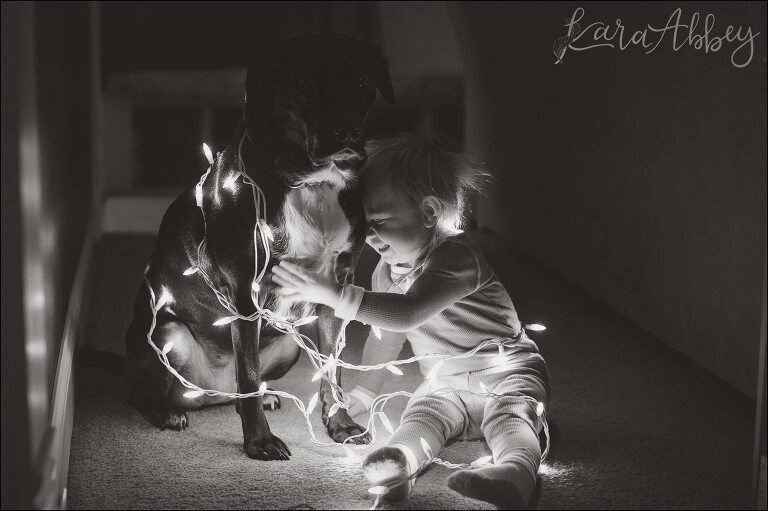 A Dog and her Toddler all Wrapped up in Christmas Lights by Kara Abbey Photography in Irwin, PA