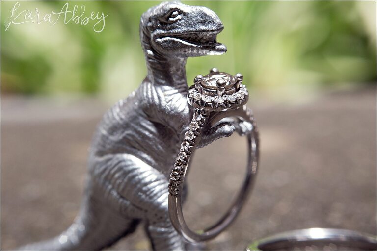 Dinosaur with Engagement Ring by Irwin, PA Wedding Photographer