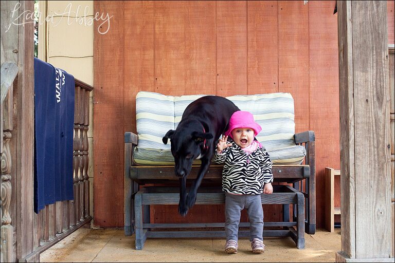Abby's Saturday (a weekly photo featuring my Black Lab) BLOOPER REEL from 2016 by Irwin, PA Photographer