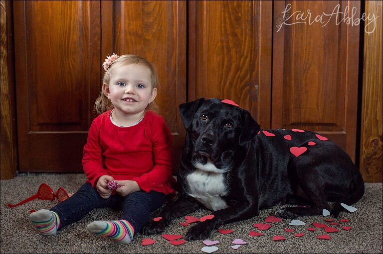 Happy Valentine's Day from a toddler & her black lab by Irwin, PA Wedding Photographer