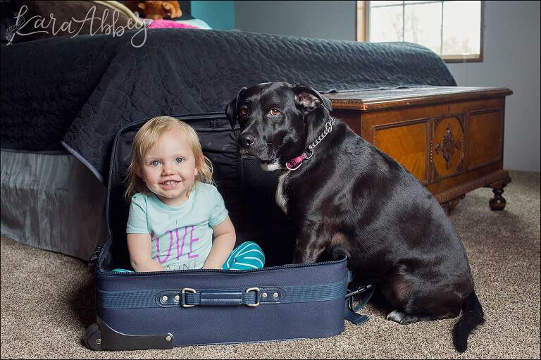 Toddler & Black Lab - Have Suitcase, Will Travel