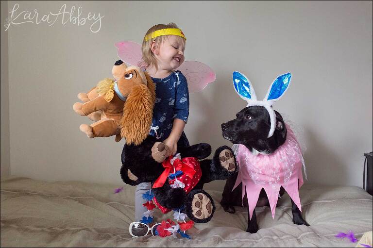 Toddler Plays Dress-Up with Black Lab in Irwin, PA - Weekly Update
