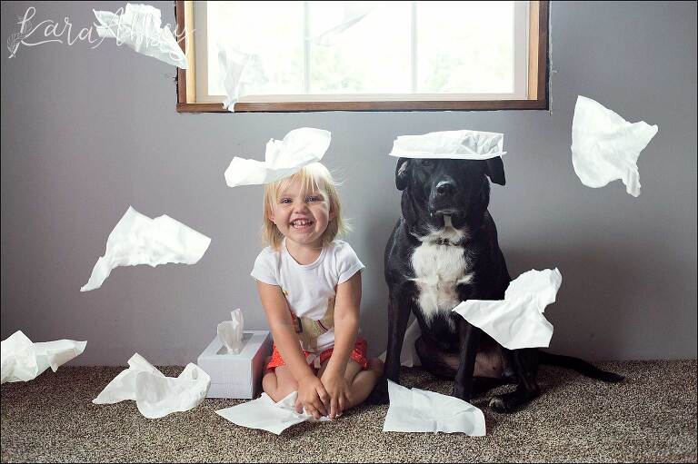 Black Lab & Toddler Mischief - Into the Tissues - Weekly Update