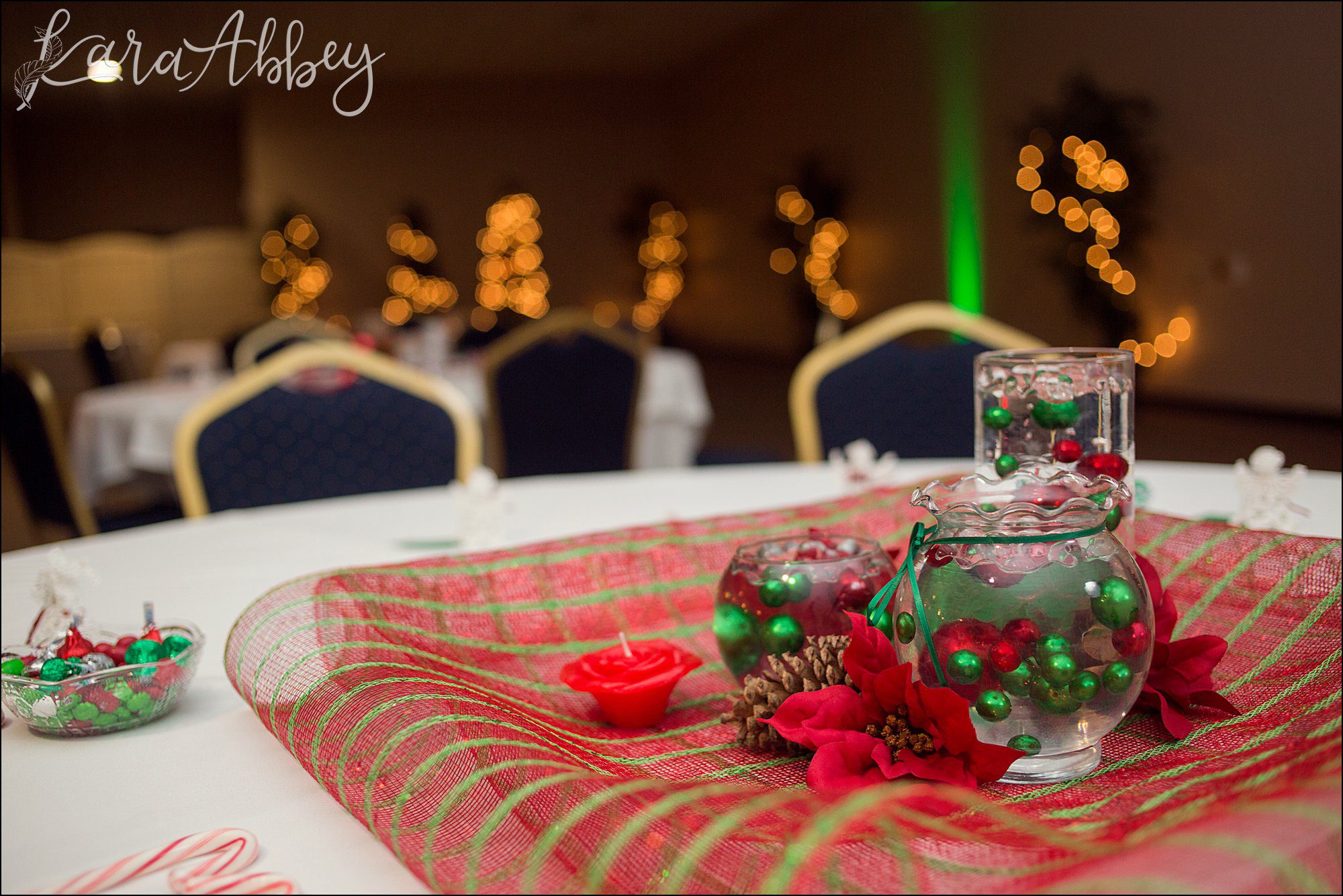 Sarah & Jason / Christmas in July Wedding at Chautauqua Suites