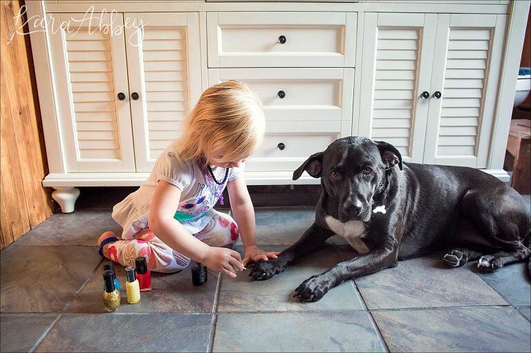 Toddler Paints Black Lab's Nails in Irwin, PA