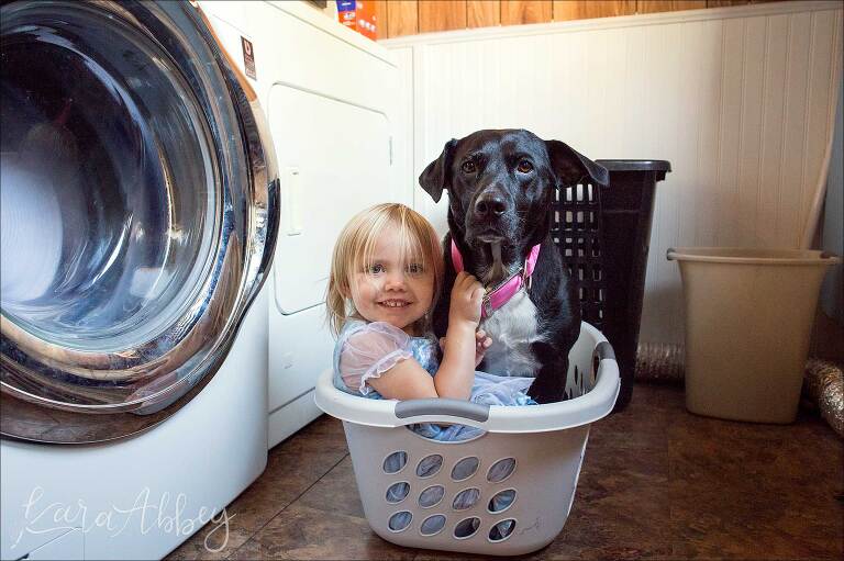Toddler & Black Lab in Laundry Basket