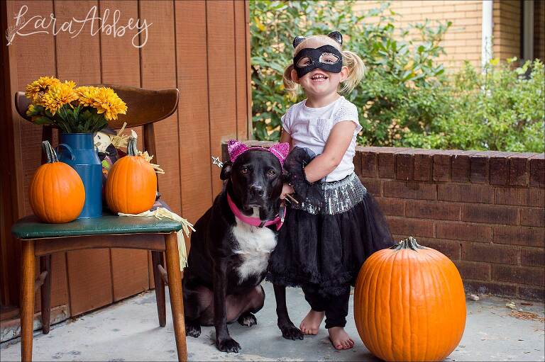 Happy Halloween from Toddler & Black Lab dressed up as Cats in Irwin, PA