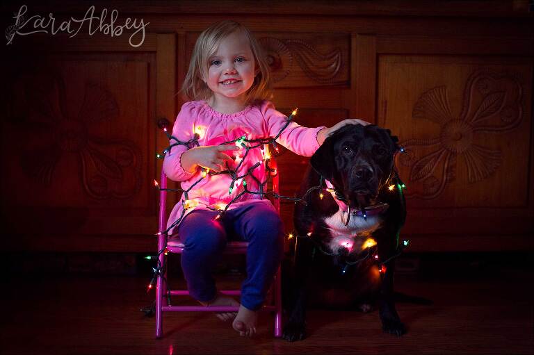 Toddler And Black Lab Tangled in Christmas Lights