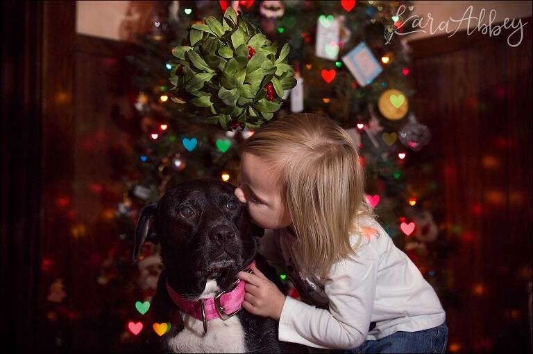 Black Lab & Toddler Under the Mistletoe at Christmas in Irwin, PA