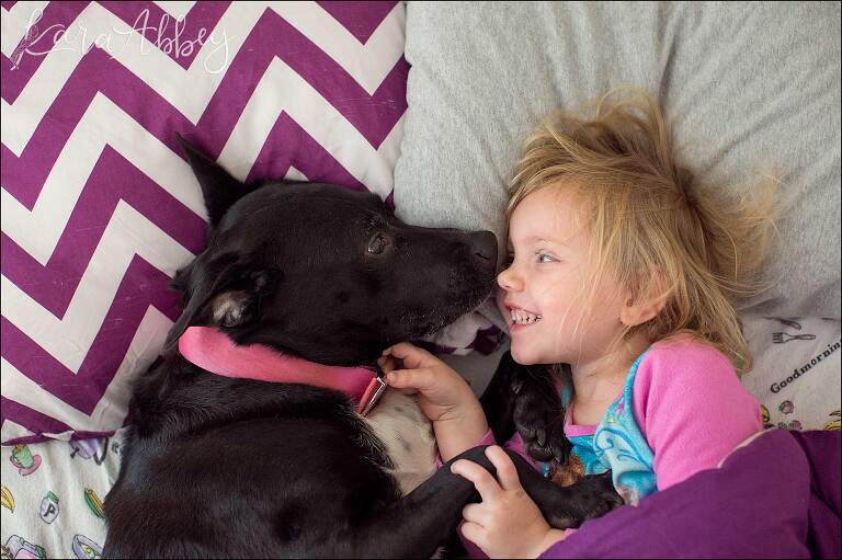 Black Lab And Toddler in Bed on Saturday Morning in Irwin, PA