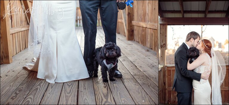 Glowy Fall Wedding Photos of Bride & Groom & Dog at Covered Bridge at Manor Park in Manor, PA