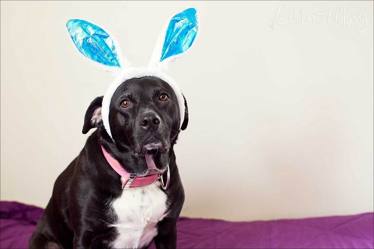 Happy Easter from Black Lab in Irwin, PA