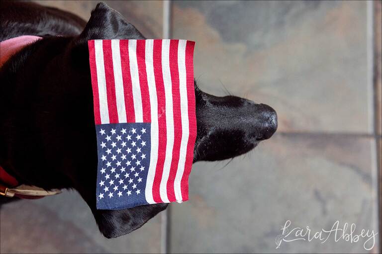 Black Lab with American Flag - Happy Memorial Day