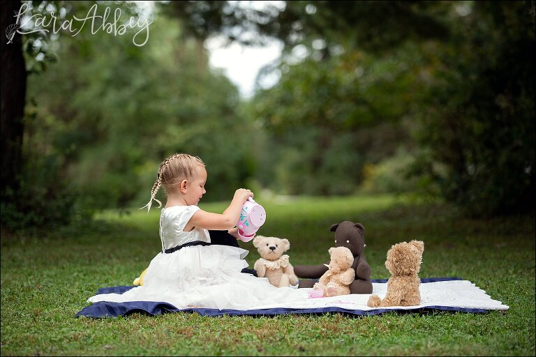 3 Year Old Teddy Bear Picnic Themed Portraits in Irwin, PA