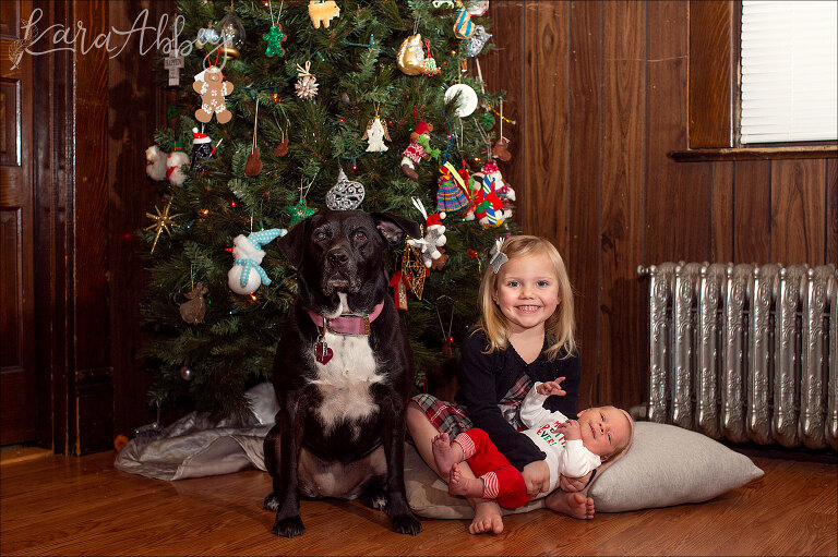 Black Lab with Toddler & Infant Under the Christmas Tree in Irwin, PA