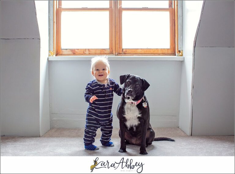 Abby's Saturday Todder & Black Lab Portrait in Irwin, PA