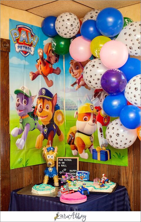 PAW Patrol Birthday Party 5 Years Old in Irwin PA