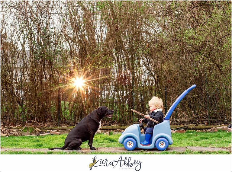 Abbys Saturday Black Lab Outside with Toddler Boy in Car in Irwin PA