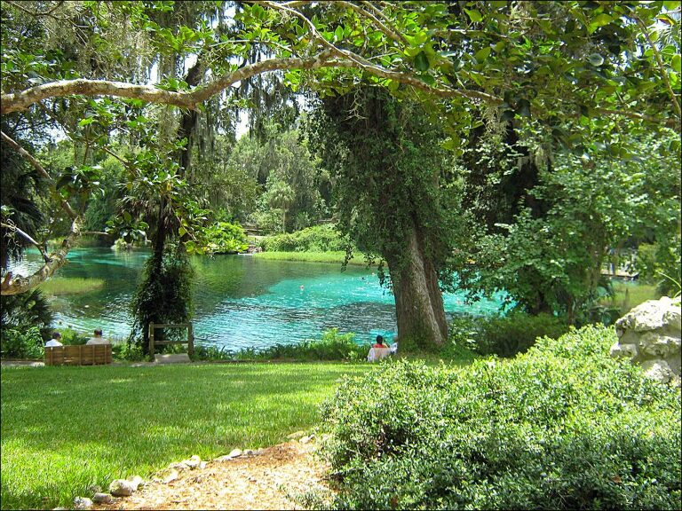 Our Love Story - The Proposal at Rainbow Springs State Park