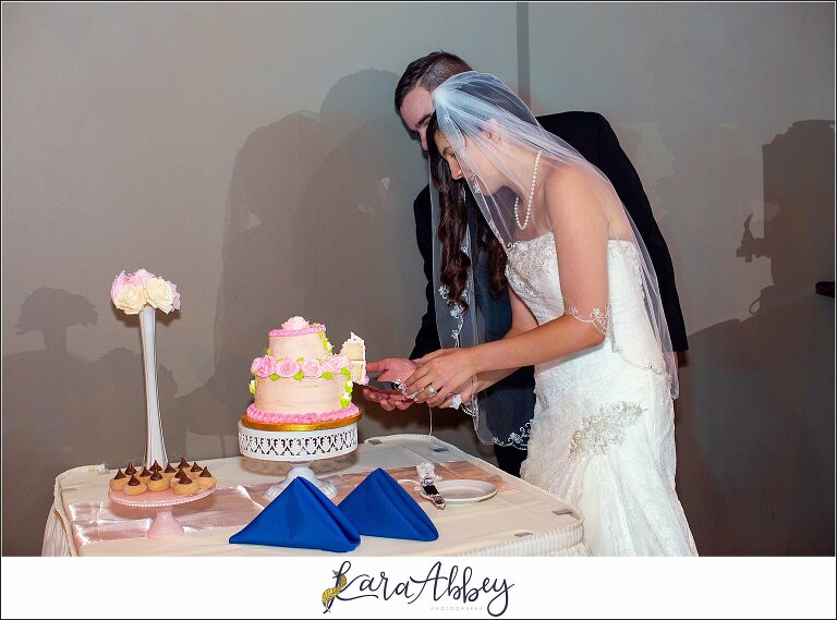 Intimate Summer Wedding Reception at Antonelli Event Center in Irwin, PA Cutting the Cake in the Capri Room
