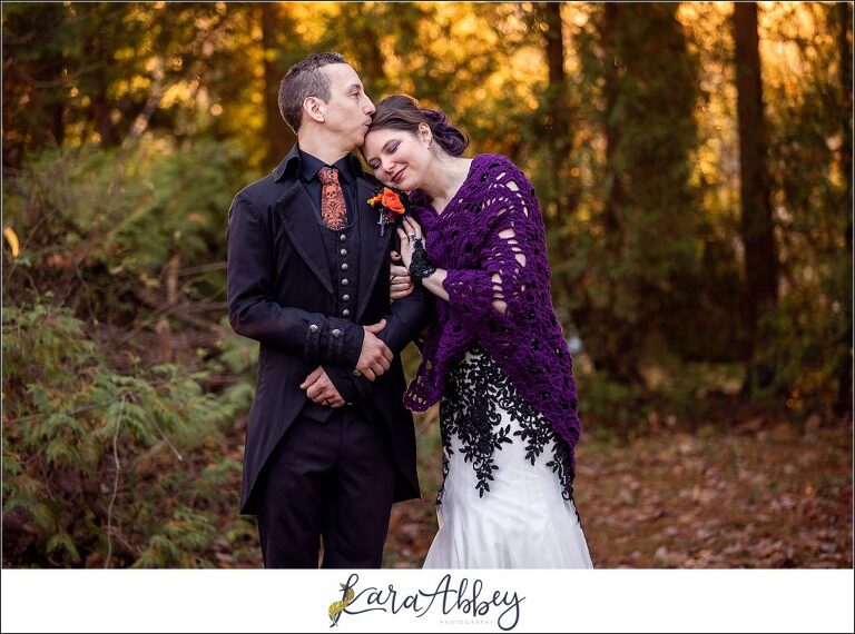 Black and Purple Disney Halloween Themed Fall Wedding at Green Gables in Jennerstown PA - Bride & Groom Portraits During Golden Hour