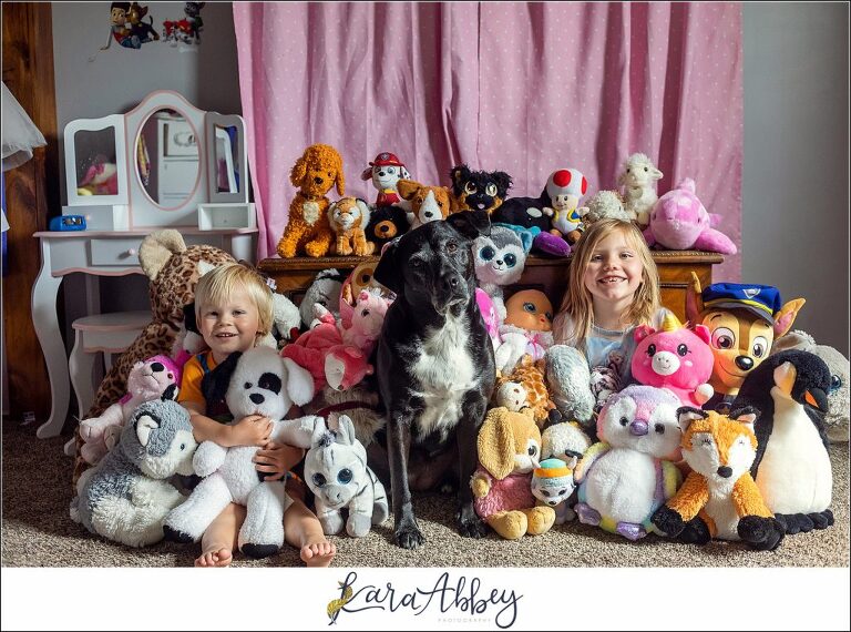 Abbys Saturday Black Lab and Kids in Pile of Stuffed Animals in Irwin PA