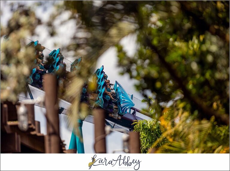 Kara Abbey Photography XscreamThrills Roller Coaster Photography Sea World Orlando, FL