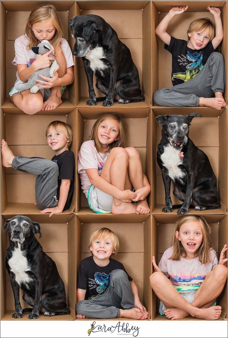 Abbys Saturday Box Grid Collage of Kids and Dog in Irwin PA