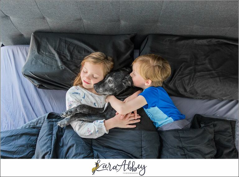 Abbys Saturday Black Lab and Kids Snuggling in Bed in Irwin PA